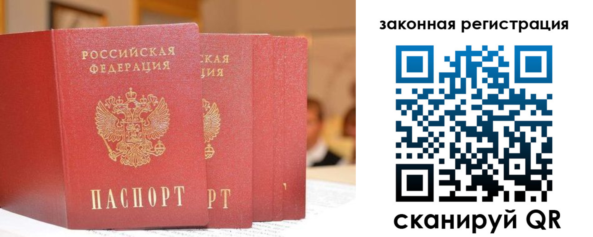 прописка поиск в Волоколамске